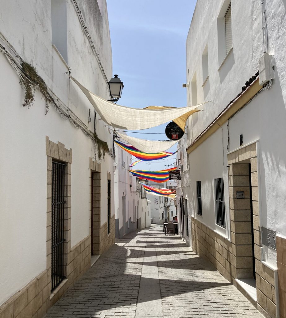 Old town of Conil